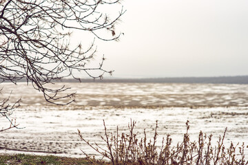 Winter field covered with firts snow. Dry grass and tree branches in the foreground.