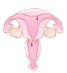 子宮頸管（内膜）ポリープ　名称ナシ