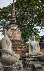 the statue of ancient Buddha in Ayutthaya  