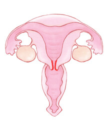 子宮膣部びらん　名称ナシ