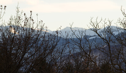 Montagnes enneigées