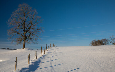 Winterlandschaft mit Baum und Zaun