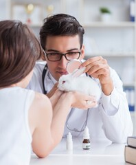 Woman with pet rabbit visiting vet doctor