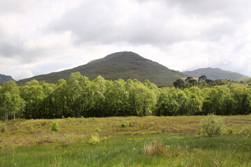 A view of the Scottish Mountains near Loch Lomond