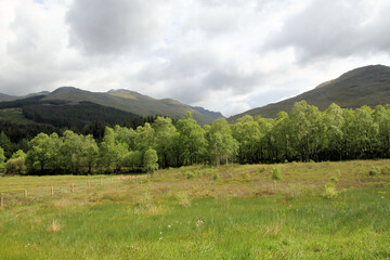A view of the Scottish Mountains near Loch Lomond