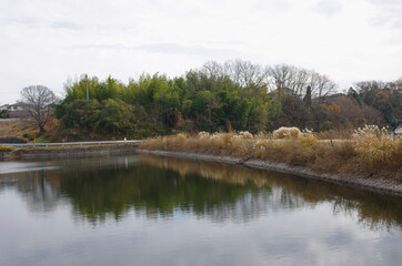 冬の新池（岡山県赤磐市和田）