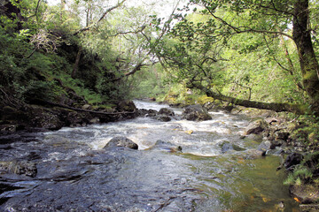 A view of a stream near Loch Lomond in Scotland