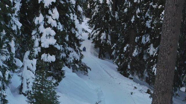 Two people sledding down path in the snowy forest, view from behind, tracking