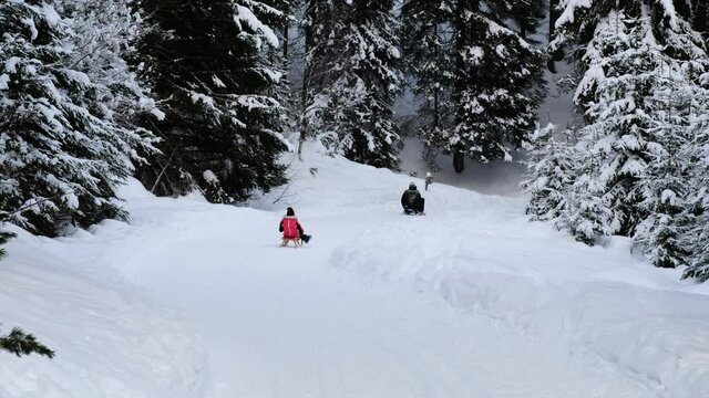Toboggan riders go down the toboggan run in the winter landscape.