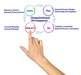 Presenting Components of Organizational Development
