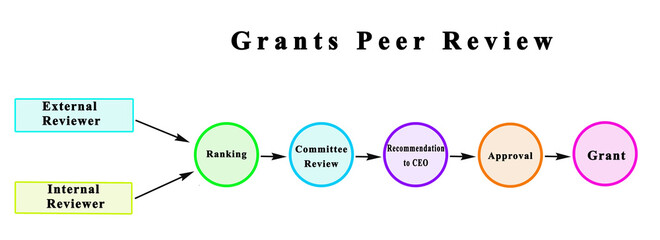 Components of Grants Peer Review Process
