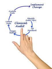 Six Steps of Clinical Audit.