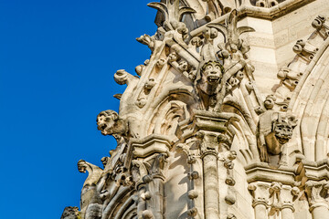 Fototapeta na wymiar Gargoyle statues on the walls of Notre Dame Cathedral in Paris