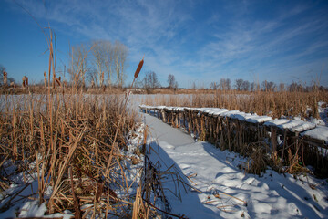 Snow-covered wooden bridges surrounded by reeds on a frozen pond.