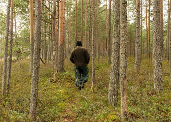 man's silhouette in the forest, swampy forest background, the land is covered with plants characteristic of the swamp