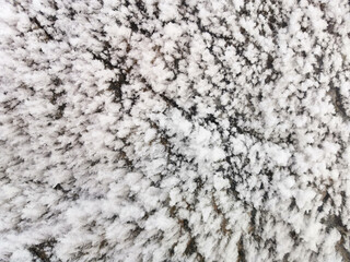 Frost on a stone full-size frame for a winter background with a place for text