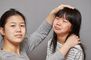 泣いている妹を慰めるお姉さんの様子