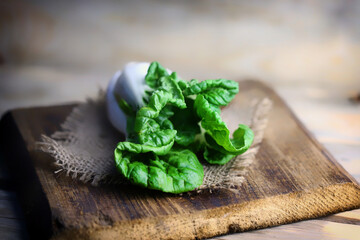 Selective focus. Macro. Fresh bok choy cabbage on a wooden surface.