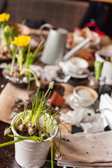 Gardener planting spring flower in greenhouse