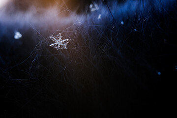 Macro photography of a snowflake. Every detail is visible on a snowflake. Fairytale patterns. Snowflake isolated on dark background: macro photo of real snow crystal.