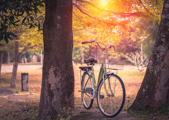 Obraz premium A bicycle parking on the yellow nature landscape