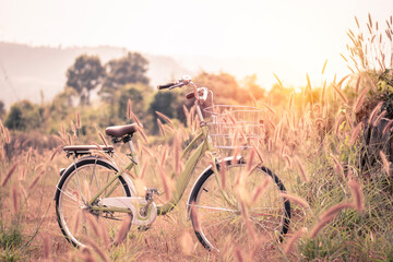 Naklejka premium Single bicycle parking on grass flower nature