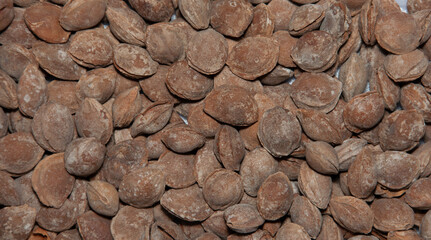 Salted apricot seeds background. Apricot bones fried with salt in ashes