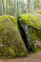 big stones boulders in the forest