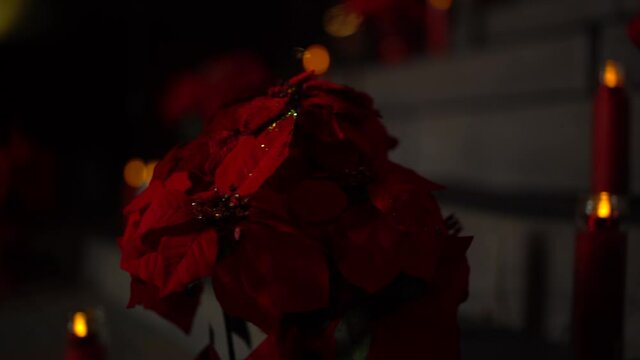 Poinsettia and red candle arrangement on the exterior of the Christ Church Cathedral Ottawa in Ontario Canada.