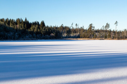 Frozen Lake In Scandinavia On Sunny Day With Shadows From Trees Falling On The Ice