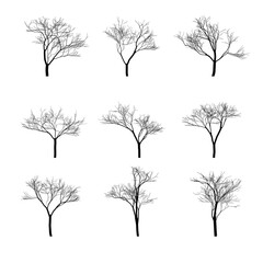 Dry bare trees silhouette set