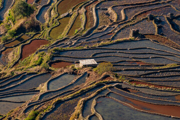 A small house in the terrace field
