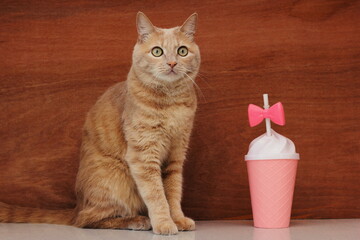A red cat sitting and looking at the camera and a pink plastic drink glass with a bow.