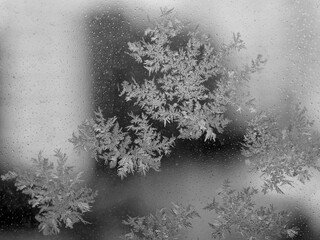 Frost patterns on the glass, close-up, black-and-white macro photography. Frosty winter, snowy, cold day.