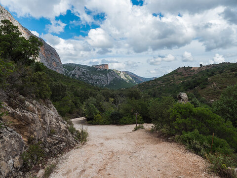 dirt road, hiking trail to Gola Su Gorropu gorge and green forest landscape of Supramonte Mountains with limestone rock and mediterranean vegetation, Nuoro, Sardinia, Italy. Summer cloudy day