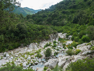 View of dry flumineddu river on hiking trail to Gola Su Gorropu gorge and green forest landscape of Supramonte Mountains with limestone rock and mediterranean vegetation, Nuoro, Sardinia, Italy