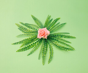 Colorful spring pink flower with leaves on a green background.