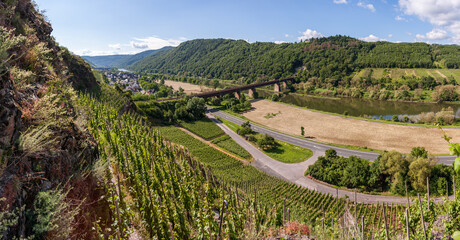 Weinberge