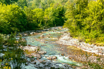 natural mountain landscape that includes a shallow river descent with tree vegetation on the sides, green tones