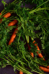 Fresh carrots with green stems and leaves on a dark gray granite background.