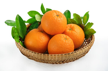 Valencia oranges on white background.