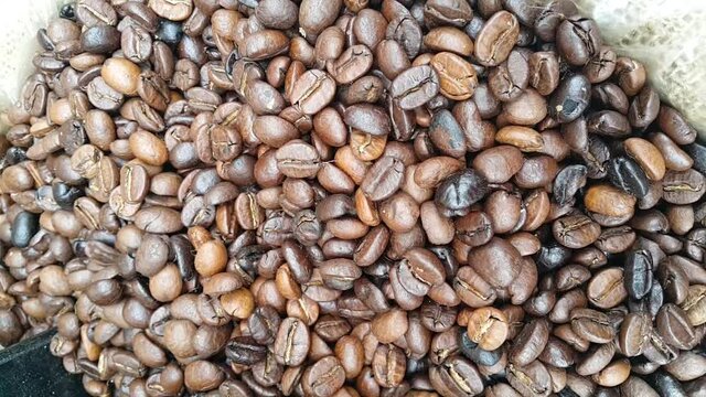 video of coffee beans in sack