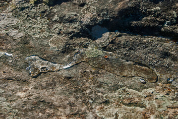 Trickle of clear water closeup on rocky surface