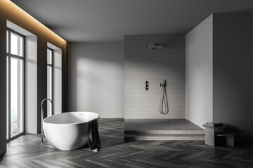 Gray bathroom interior with tub and shower stall