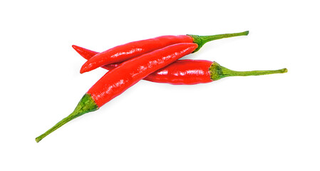 chilli isolated on a white background