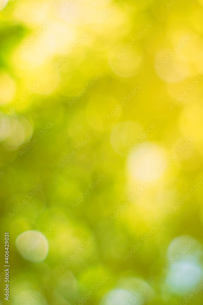 Wall mural natural bokeh background in vertical format, suitable for product presentation, mockup and backgroun