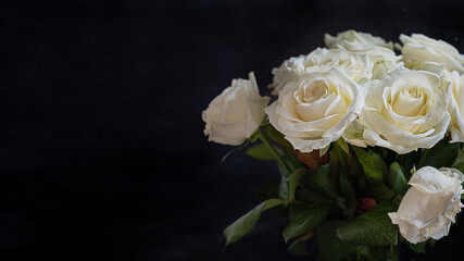 Bouquet of white roses on dark background