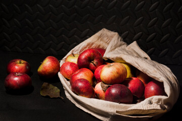 Fototapeta na wymiar Manzanas rojas de temporada, producción ecológica