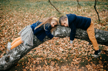 A couple of children on the tree