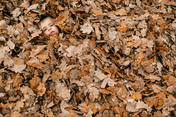 Cheerful boy's face among leaves